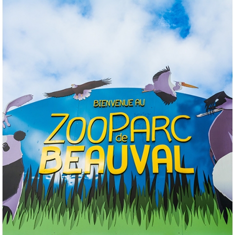 journée au Zoo de Beauval Samedi 15 Juin 2024