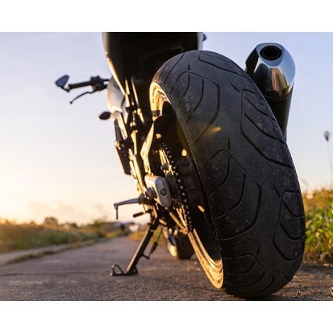 Sortie Moto en marais Poitevin