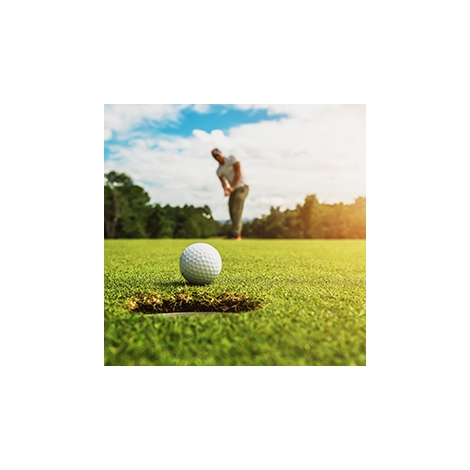 Section Golf : cotisations / licences annuelles  2025