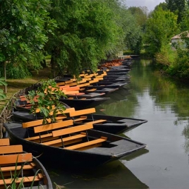Sortie Marais Poitevin : La Venise Verte - samedi 13 juin