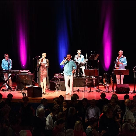 Repas spectacle dansant 3 novembre 2026